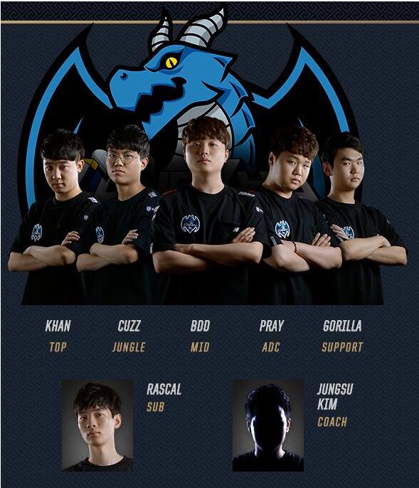 织团队的专 织团队的专