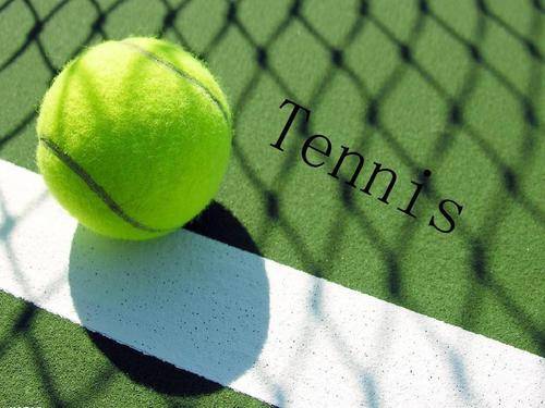 场赛程赢得 场赛程赢得