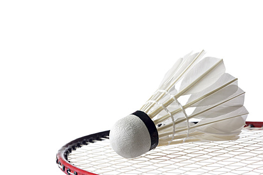 吸引了众多 吸引了众多